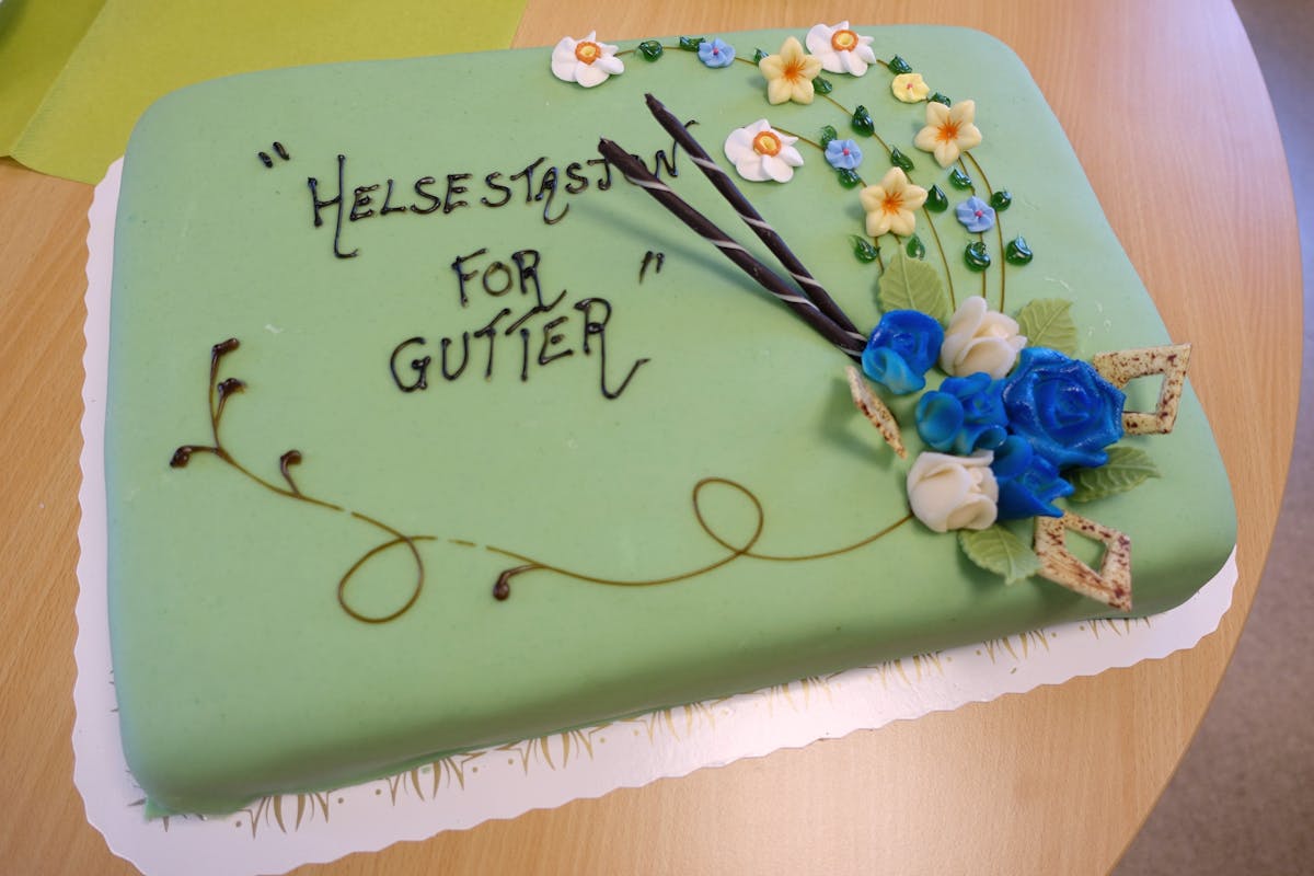 Kake Gronn