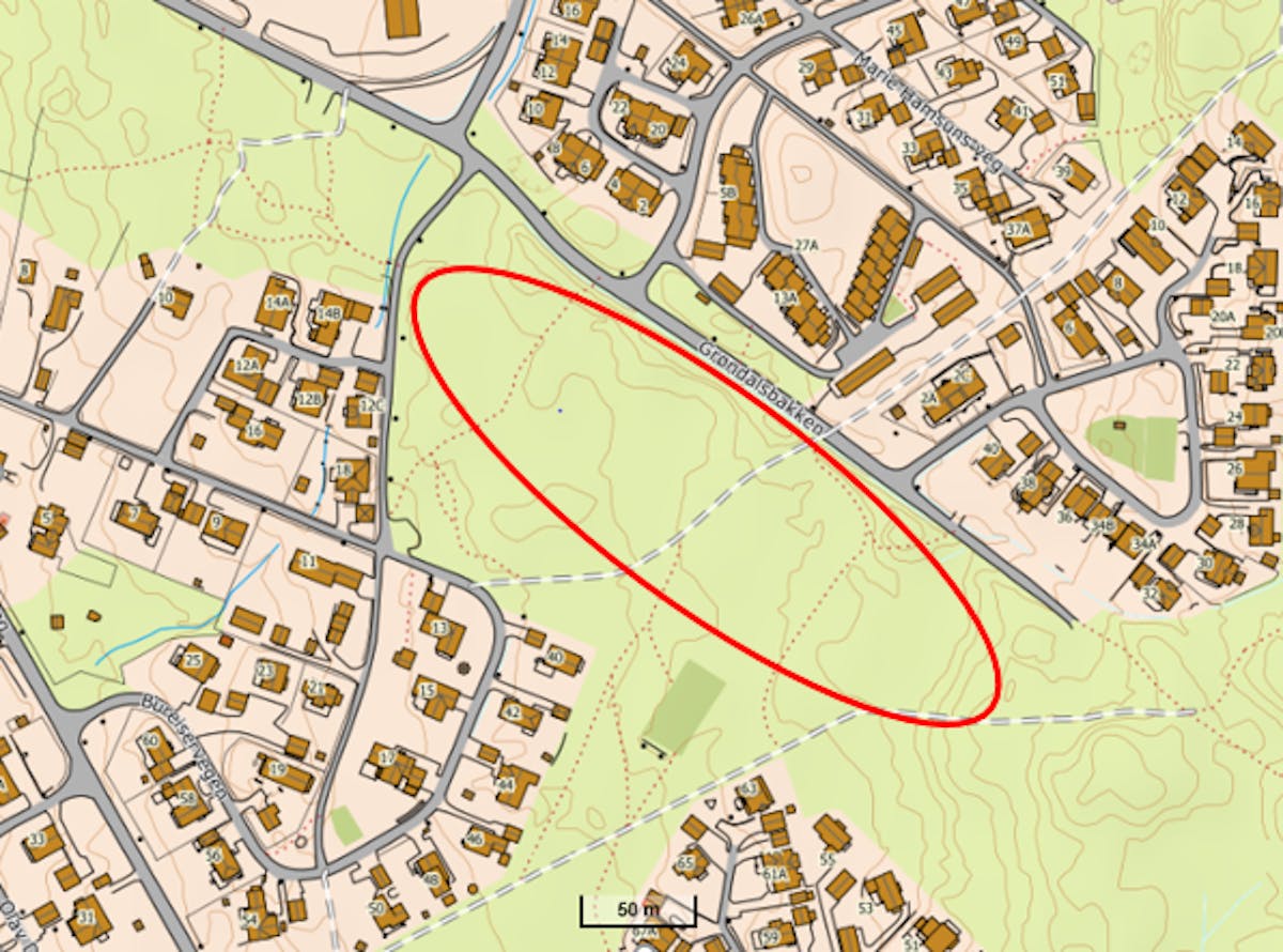 Skogtiltak på Hanstad.